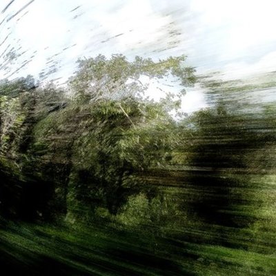 Timeline: Mi bio escolar