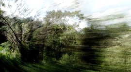 Timeline: Mi bio escolar