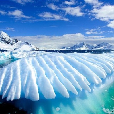 Timeline: Antartica