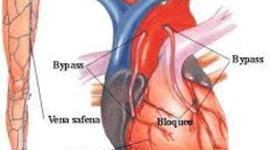 Timeline: PRINCIPALES SUCESOS TECNOLOGICOS DE LA ARGENTINA