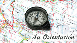 Timeline: Historia de la Orientación tanto a nivel Nacional como Internacional (México)