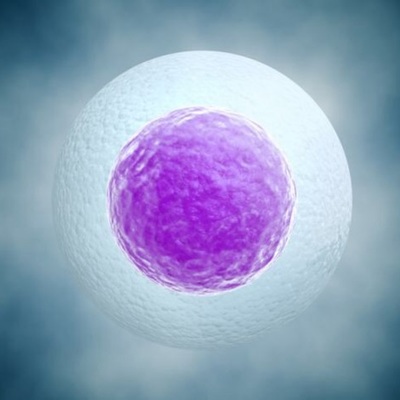 Timeline: Científicos teoría celular