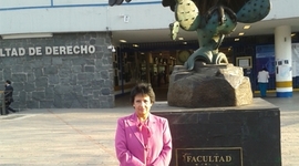 Timeline: DESENCANTO POLÍTICO