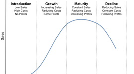 Timeline: Product Life Cycle of Parle Frooti