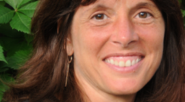 Timeline: Educational and Career Highlights