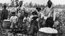 Timeline: Antebellum Timeline