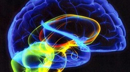 Timeline: Evolução da Ciência nos anos 90 no Brasil