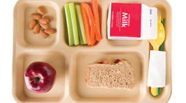 Timeline: School Nutrition Program