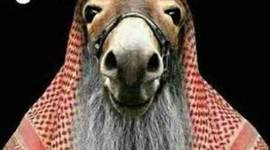 Timeline: middle east