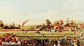 Timeline: Antebellum Timeline