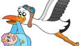 Timeline: Mii Vida :D <3