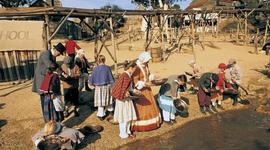 Timeline: Ballarat: The Gold Rush