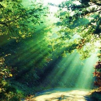 Timeline: Naturaleza