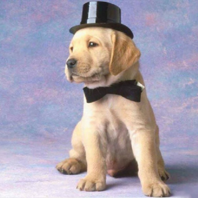 Timeline: storia dell'informatica