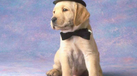 Timeline: storia dell'informatica