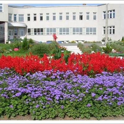 Timeline: История моей гимназии