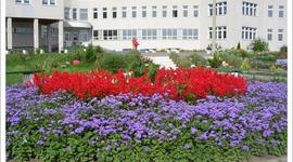 Timeline: История моей гимназии