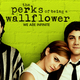 The perks of being a wallflower wallpaper we are infinite