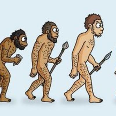 Timeline: Idővonal az oktatásban - prezentációnk vázlata