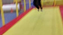 Timeline: junguhistory