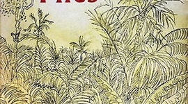 Timeline: Lord of the Flies- Eleora DeMuth