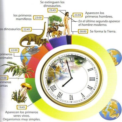 Timeline: Comparativa Escala tiempo con un día