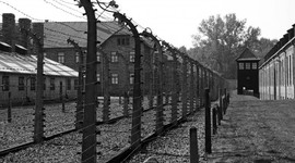 Timeline: Holocaust Timeline