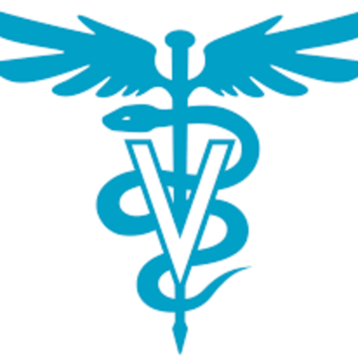 Timeline: Veterinarian Career