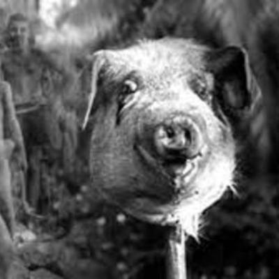 Timeline: Lord of the Flies