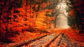 Timeline: A Rose For Emily