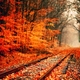 Images of fall for desktop