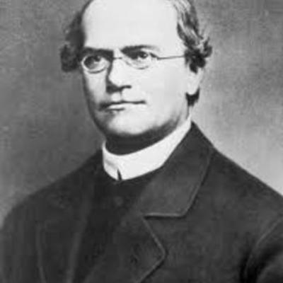 Timeline: Gregor Mendel