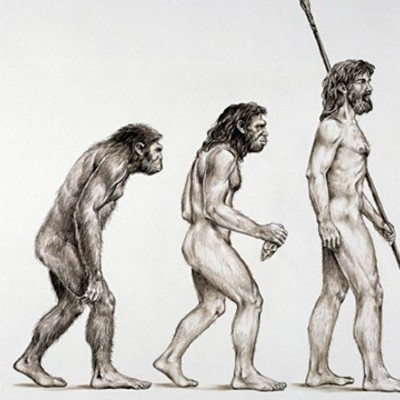 Timeline: THEORY OF EVOLUTION