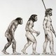 Basics of evolution theory