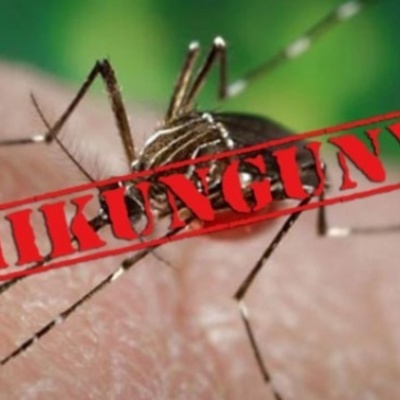 Timeline: Chikungunya