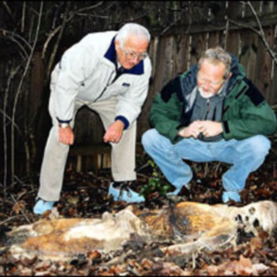 Timeline: Timeline of Death