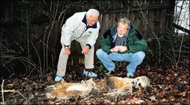 Timeline: Timeline of Death