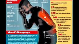 Timeline: Historia y Evolución del Chikungunya.