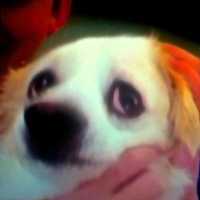 Timeline: Stephen reif