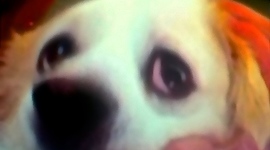 Timeline: Stephen reif