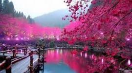 Timeline: Japanese History