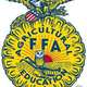 Ffa logo