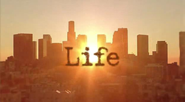 Timeline: Daniela Gallardo's Life.