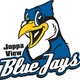 Joppaviewlogo