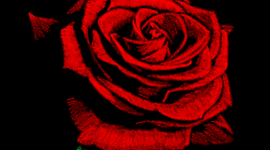 Timeline: A Rose for Emily