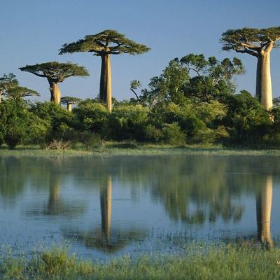Timeline: History of Madagascar