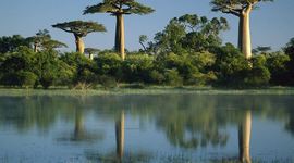 Timeline: History of Madagascar