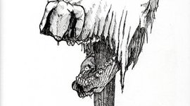 Timeline: Lord of the Flies