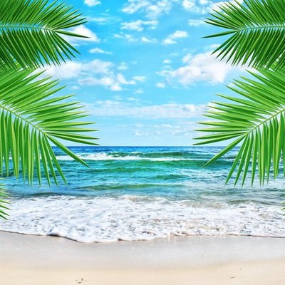 Timeline: Lord of the flies