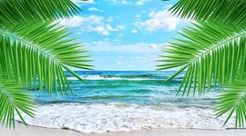 Timeline: Lord of the flies